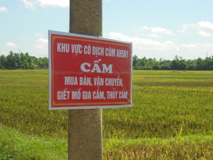 Dập tắt dịch cúm gia cầm H5N1 tại Hà Tĩnh