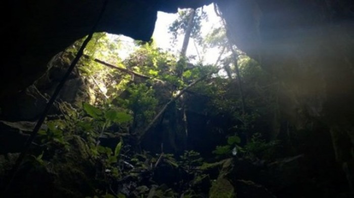Phát hiện hang động mới ở VQG Phong Nha – Kẻ Bàng