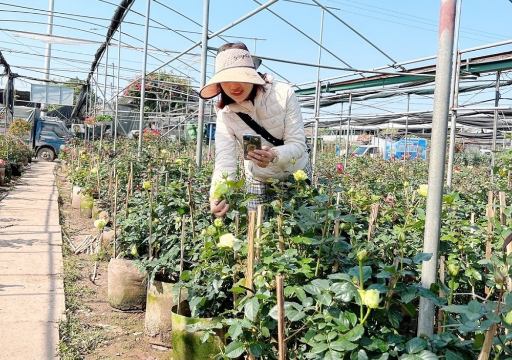 Xuân mới đến thăm những “nông dân số”