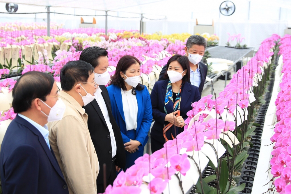 Phó Bí thư Thường trực Thành ủy Nguyễn Thị Tuyến thăm cơ sở hoa lan Toàn Cầu