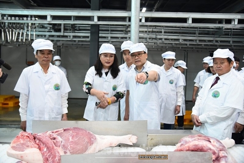 Bí thư Thành ủy Hà Nội thăm mô hình nông nghiệp công nghệ cao