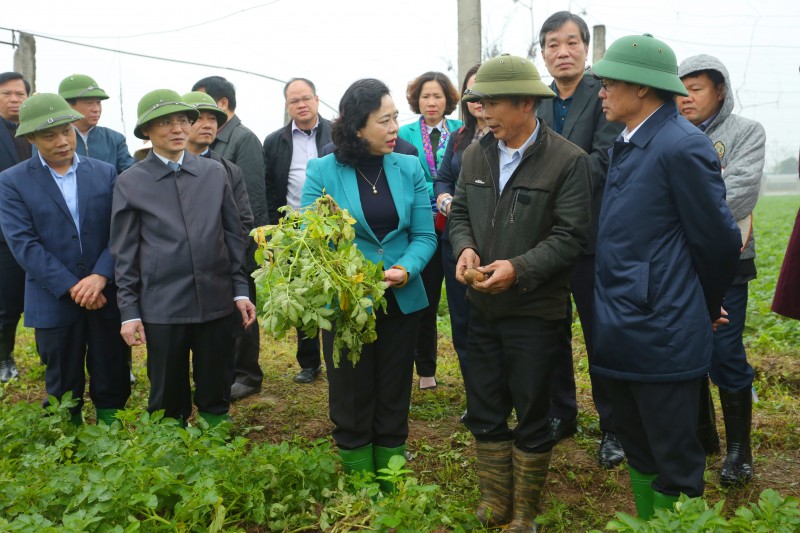 Năm 2020, huyện Thạch Thất phải đạt chuẩn nông thôn mới