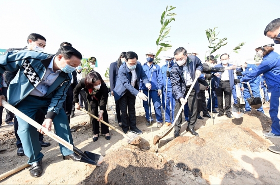 Hà Nội quyết tâm thực hiện chương trình trồng 1 tỷ cây xanh