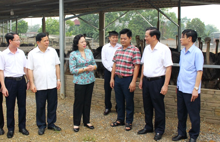 Lãnh đạo Thành ủy Hà Nội kiểm tra công tác xây dựng nông thôn mới tại huyện Ba Vì