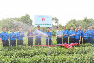 Phát động Chương trình “Trí thức khoa học trẻ tình nguyện tham gia tái cơ cấu ngành nông nghiệp”