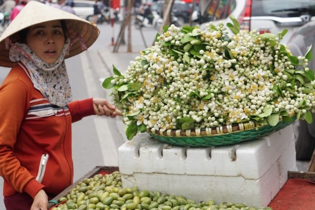 Hà Nội ngát hương bưởi bên những gánh hàng hoa