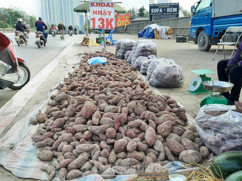 khoai lang nhat gia re duoc bay ban tren cac tuyen duong o ha noi