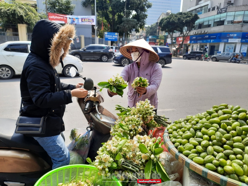 Hoa bưởi xuống phố, khách mua thưa thớt