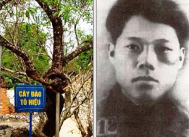 Đồng chí Tô Hiệu - Người chiến sĩ cộng sản kiên trung, bất khuất