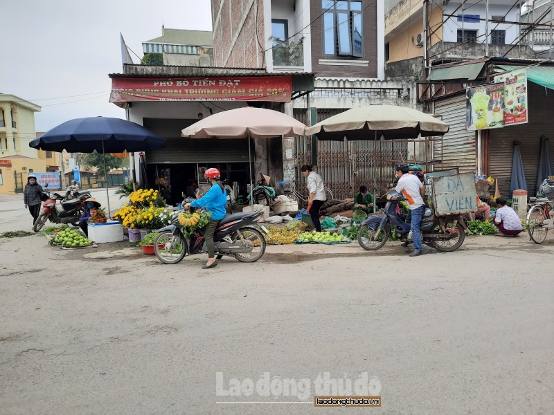 huyen chuong my hop cho lan chiem via he long duong