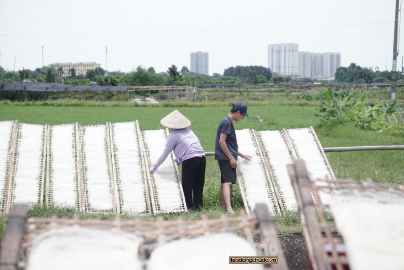 ron rang phoi mien dong tren khap canh dong xa minh khai