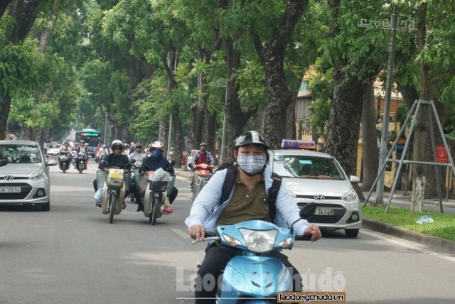 Những tuyến phố ai cũng muốn ghé qua trong những ngày Hà Nội nắng đỉnh điểm