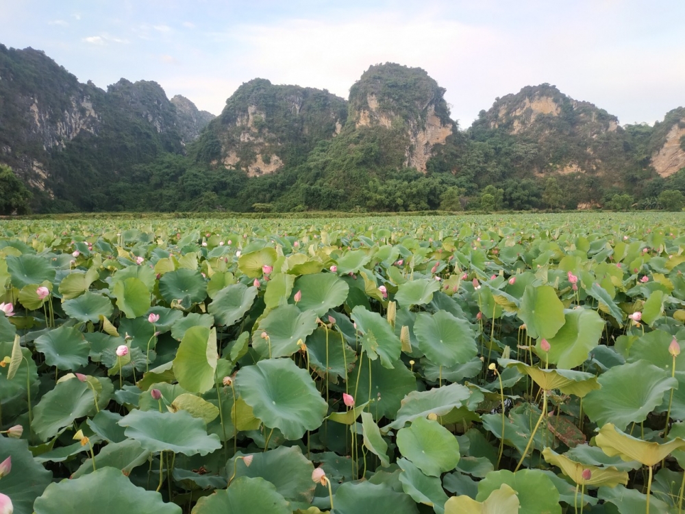 Chào mừng đến với trang thông tin điện tử Hội phụ nữ  Bình Định