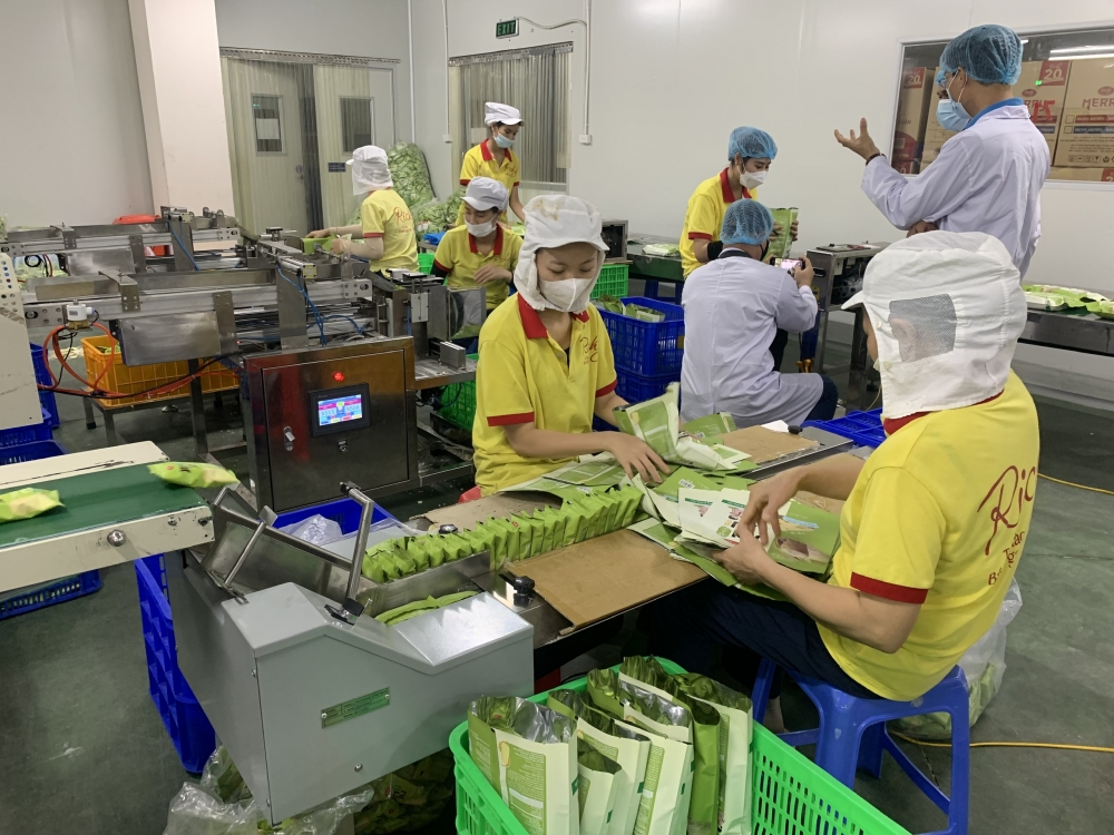 Thúc đẩy nhanh nhất việc sản xuất thuốc điều trị Covid-19 tại Việt Nam