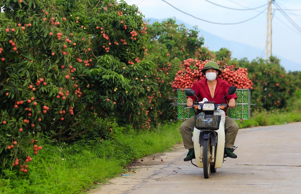 Phấn đấu đưa Việt Nam trở thành trung tâm chế biến nông sản top 10 thế giới