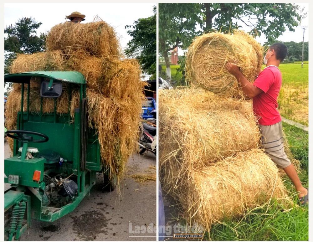 Kỳ 1: Viết tiếp “chuyện của rơm”