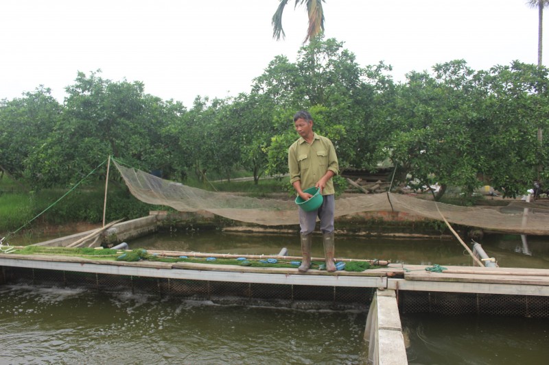 Cựu chiến binh vươn lên làm kinh tế giỏi