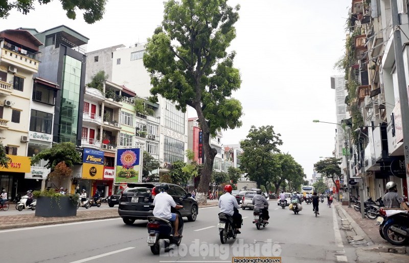 Thực hiện nghiêm túc những nhiệm vụ trọng tâm quý III/2019