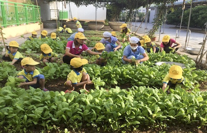 Điểm sáng trong xây dựng "Vườn trong phố"