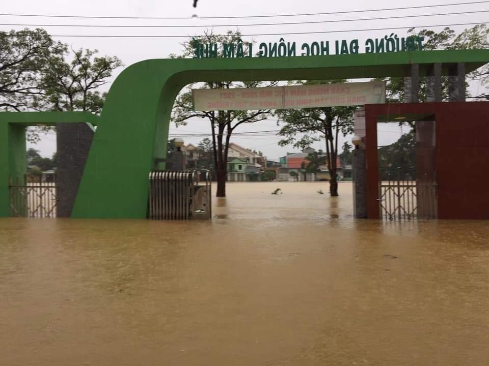 Đại học Huế và Đại học Đà Nẵng được gia hạn thời gian nhập học vì mưa lũ