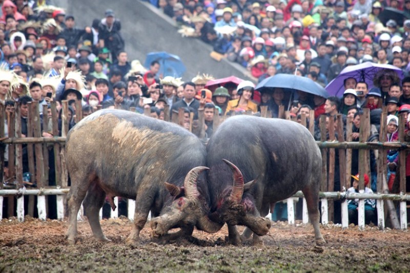 Không bán vé, thu tiền tham dự lễ hội