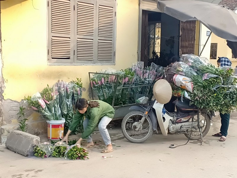 Người dân Tây Tựu lo hoa ế ẩm dịp Tết