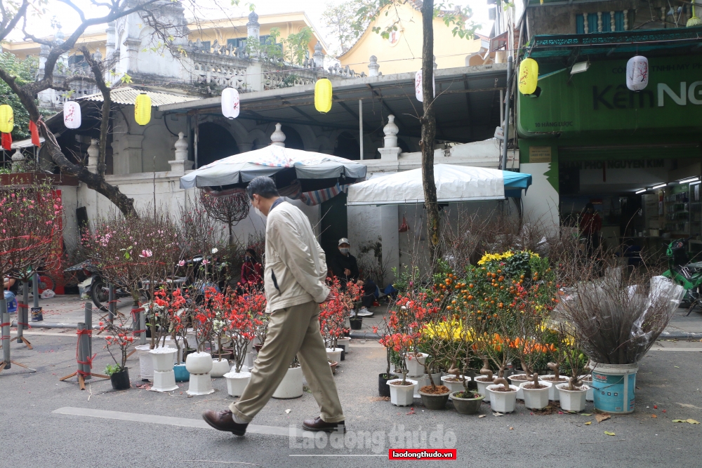 Chợ hoa lâu đời nhất Hà Nội tấp nập ngày giáp Tết