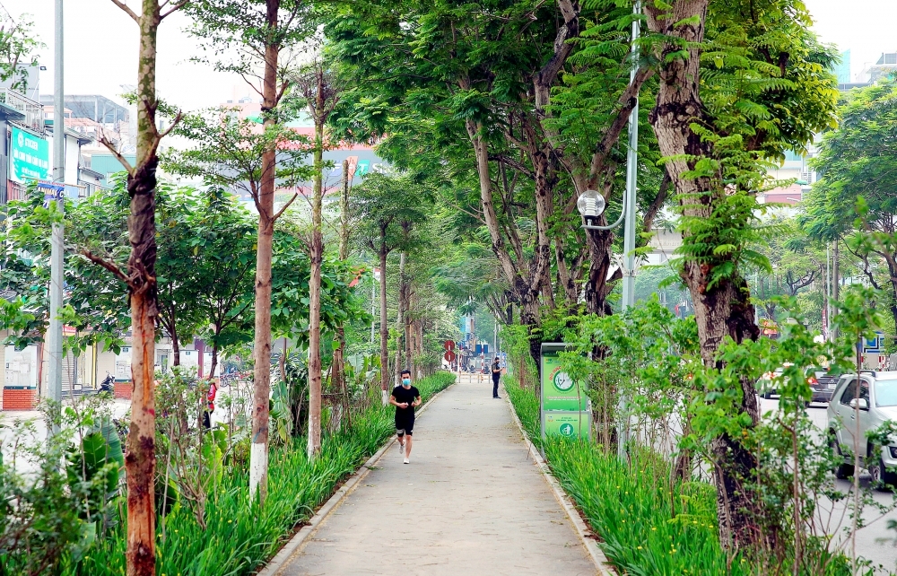 Hà Nội phấn đấu trồng 100.000 - 120.000 cây xanh dịp Xuân Nhâm Dần 2022