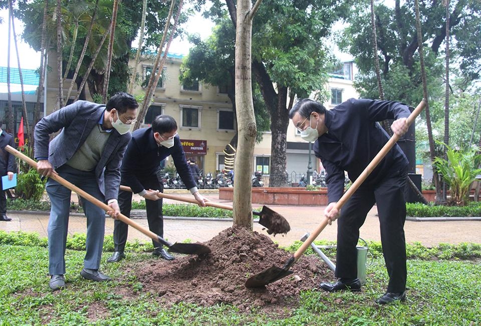 Chủ tịch UBND thành phố Hà Nội Chu Ngọc Anh dự Tết trồng cây tại quận Hai Bà Trưng