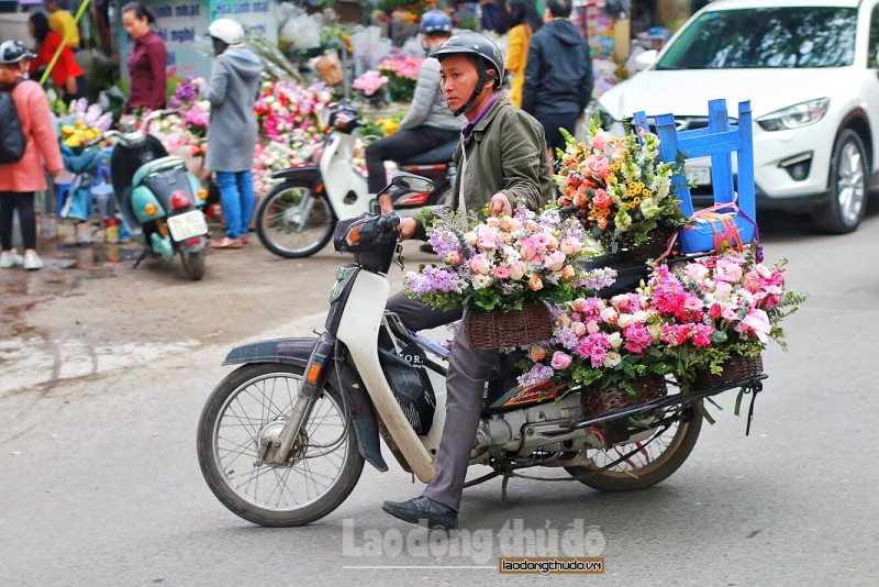 canh may rau tap nap xuong pho mua hoa ngay 83