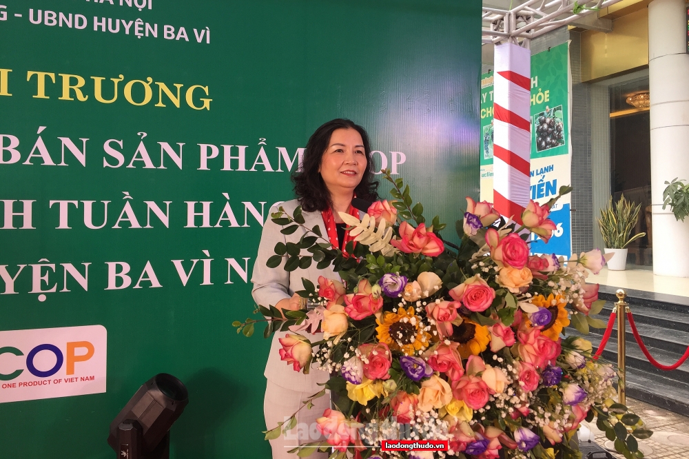 Hơn 100 gian hàng tham gia Tuần hàng Việt tại huyện Ba Vì