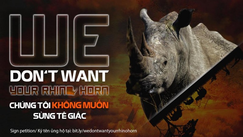 Cùng ký tên trực tuyến toàn cầu “Chúng tôi không muốn sừng tê giác!”
