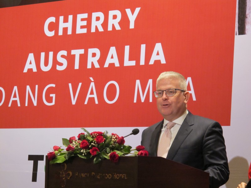 Cherry Australia được nhập khẩu chính thức vào Việt Nam