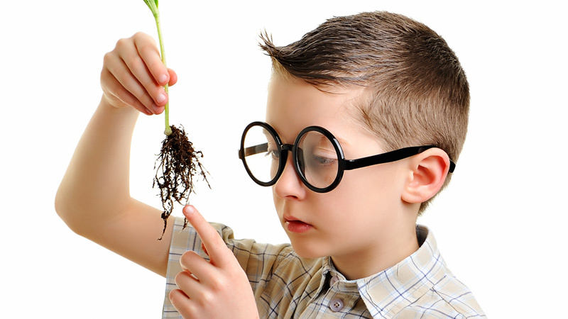 thông minh, rèn luyện trí thông minh, dấu hiệu thông minh, trẻ thông minh