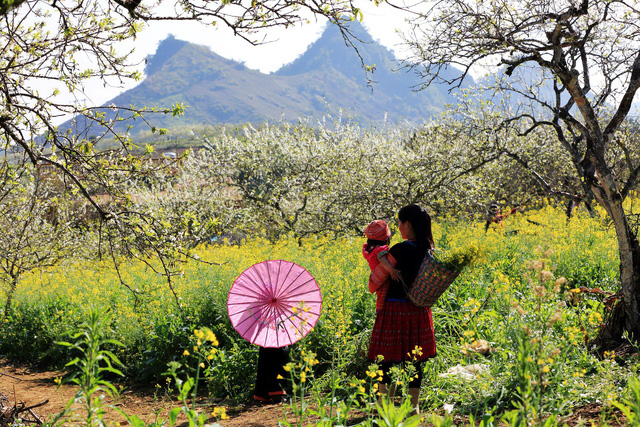 den moc chau ngam man no trang troi