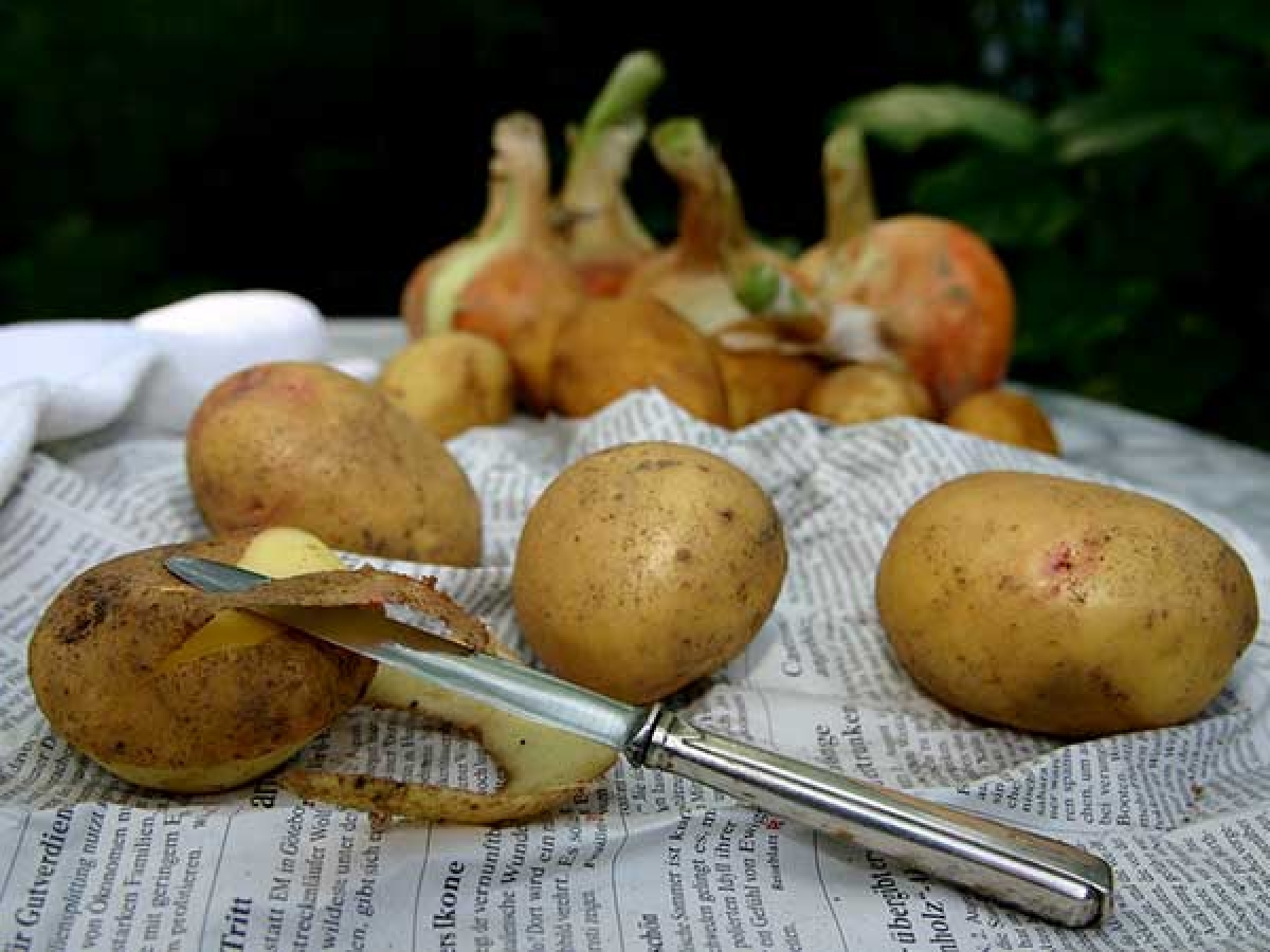 Khoai tây: Giống như cơm, khoai tây nấu chín cũng không nên được bảo quản ở nhiệt độ phòng vì chúng rất dễ nhiễm khuẩn. Bạn cũng không nên làm nóng lại khoai tây vì việc này có thể gây hại cho cơ thể khi ăn vào.