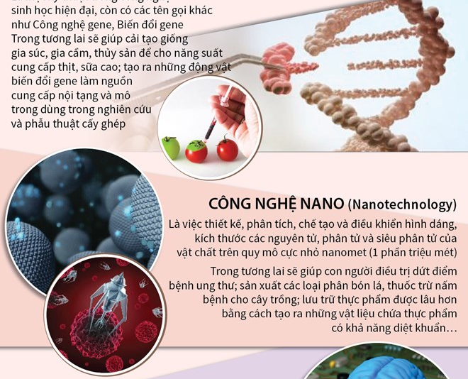 [Infographics] Những phát minh quan trọng nhất thế kỷ XXI