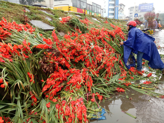 gia re nhu cho thuong lai can rang do bo ca nghin bo hoa ven duong sau tet