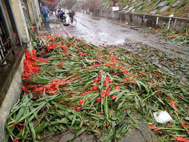 gia re nhu cho thuong lai can rang do bo ca nghin bo hoa ven duong sau tet