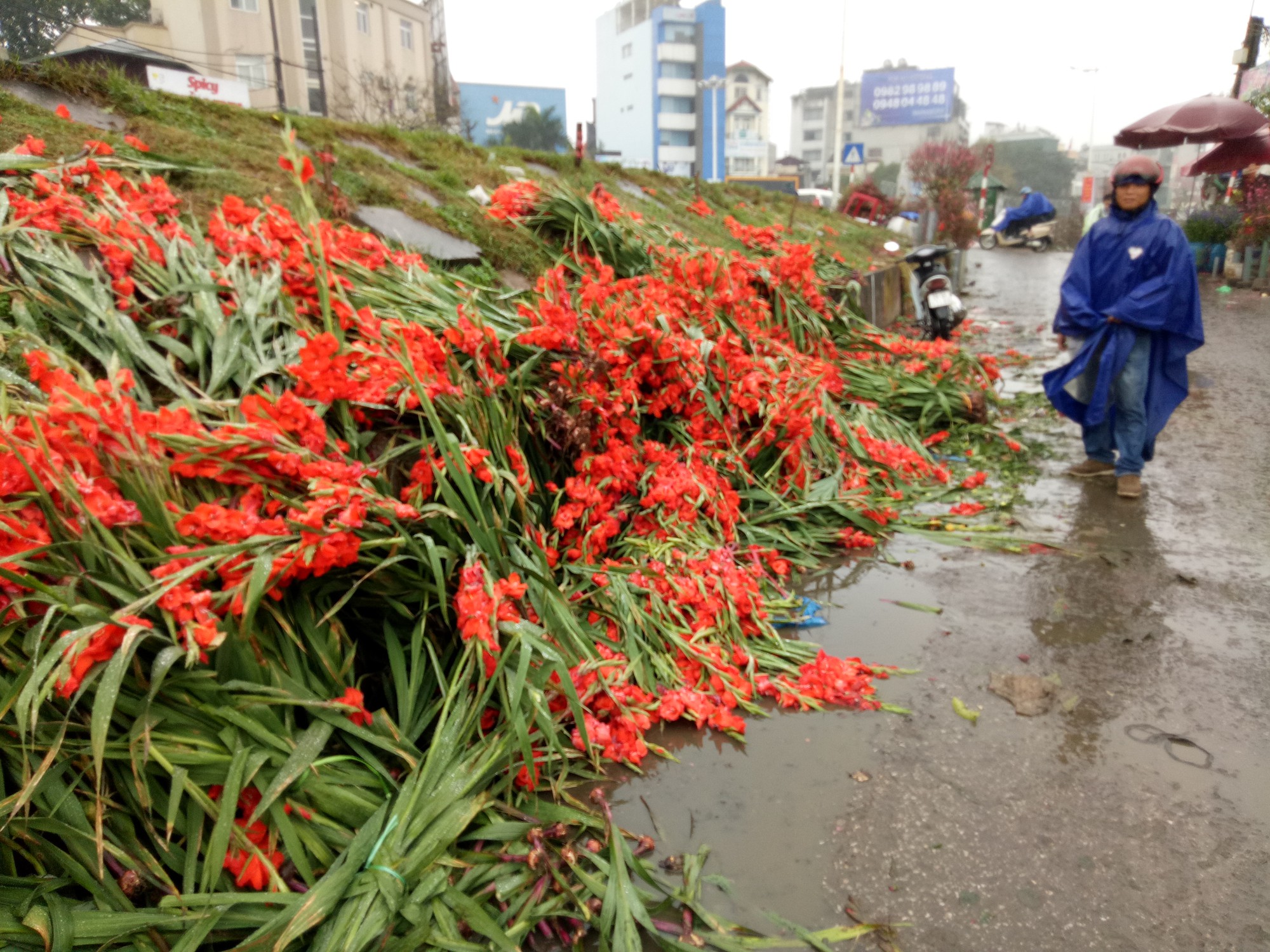 gia re nhu cho thuong lai can rang do bo ca nghin bo hoa ven duong sau tet