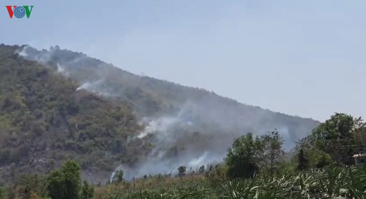 Đang cháy rừng trên đỉnh núi Tà Cú, Bình Thuận