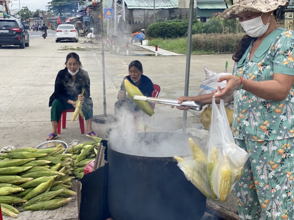 Miền Trung mưa lũ dị thường giữa tháng 3, hoa màu hư hỏng nặng