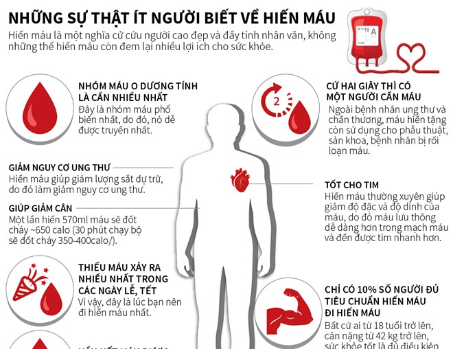 [Infographics] Những điều ít người biết về hoạt động hiến máu