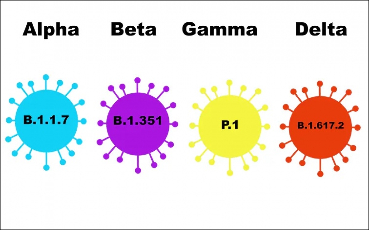 Các loại biến thể của virus SARS-CoV-2 gây bệnh Covid-19. Đồ họa: The Conversation.