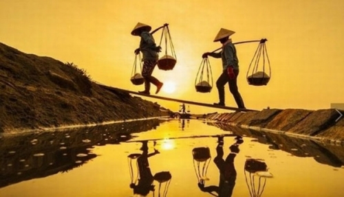 Hãy cùng khám phá cánh đồng muối Việt Nam trong khung hoàng hôn tuyệt đẹp, một trong những hình ảnh đẹp nhất thế giới. Đây là một trong những điểm đến hấp dẫn của du lịch Việt Nam, với khung cảnh thiên nhiên tuyệt vời và không khí yên bình. Hãy xem hình ảnh để cảm nhận sự tuyệt vời của nó.