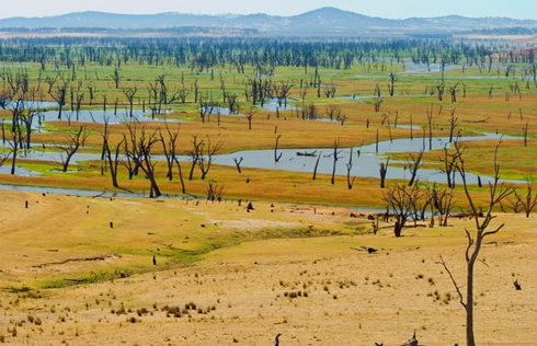 Cảnh báo hiện tượng thời tiết cực đoan El Nino tăng tần suất