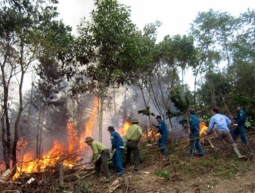 UBND tỉnh phát công điện khẩn phòng cháy, chữa cháy rừng