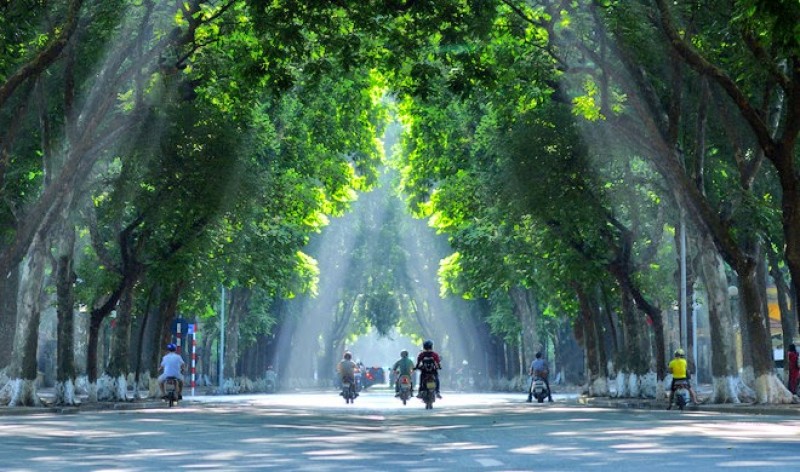 Bức ảnh Hà Nội màu xanh sẽ khiến bạn cảm nhận được vẻ đẹp trầm lắng và thanh bình của thành phố. Hãy chiêm ngưỡng cảnh quan đầu nguồn xanh tươi trong nhịp sống tấp nập của đô thị.