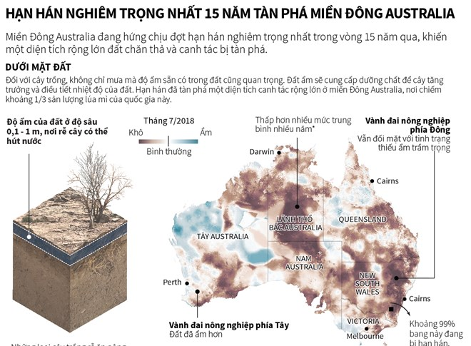 Hạn hán nghiêm trọng nhất 15 năm tàn phá miền Đông Australia