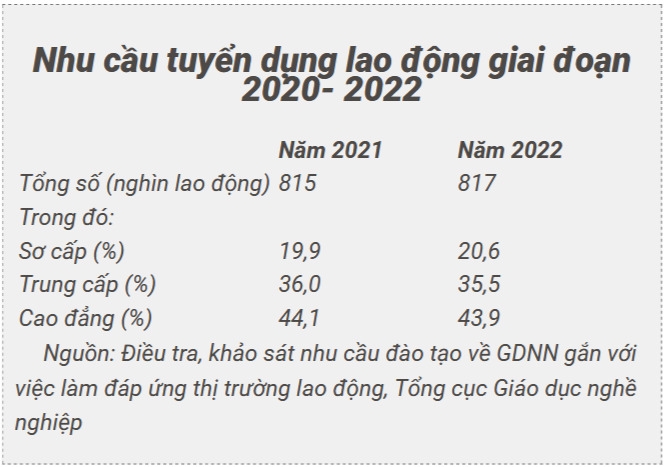 3400 fireshot capture 072 nym 2021nhu cyu tuyyn dyng lao yyng typ trung y trinh yy nao lao laodongvn